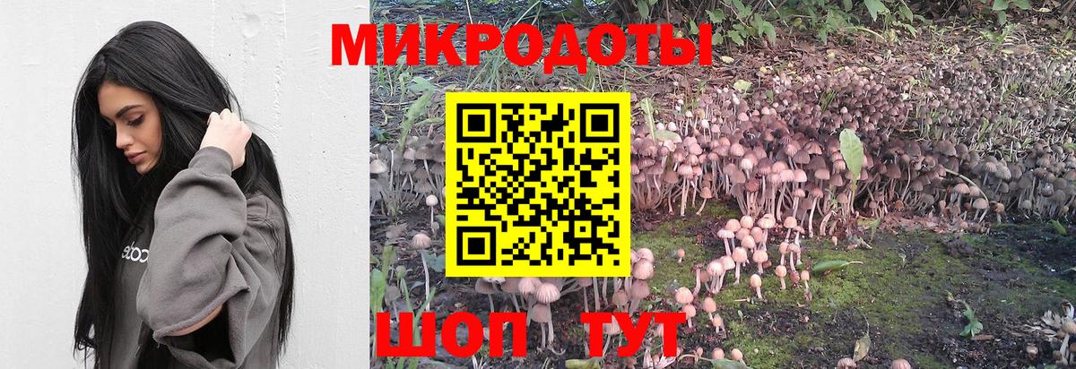 Кимры  Псилоцибиновые грибы Psilocybe  Галлюциногенные грибы мицелий  Вход с VPN 