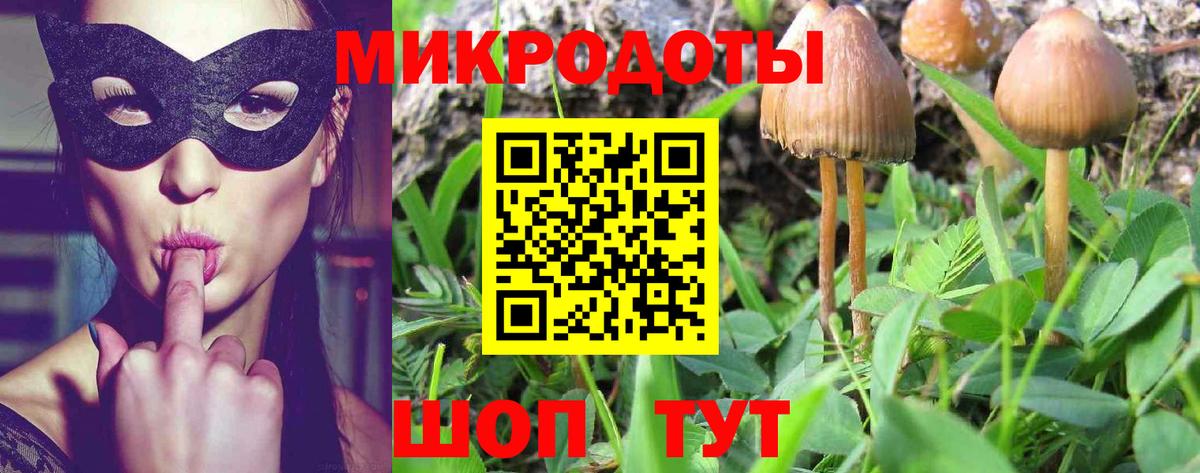 Псилоцибиновые грибы мицелий Кимры